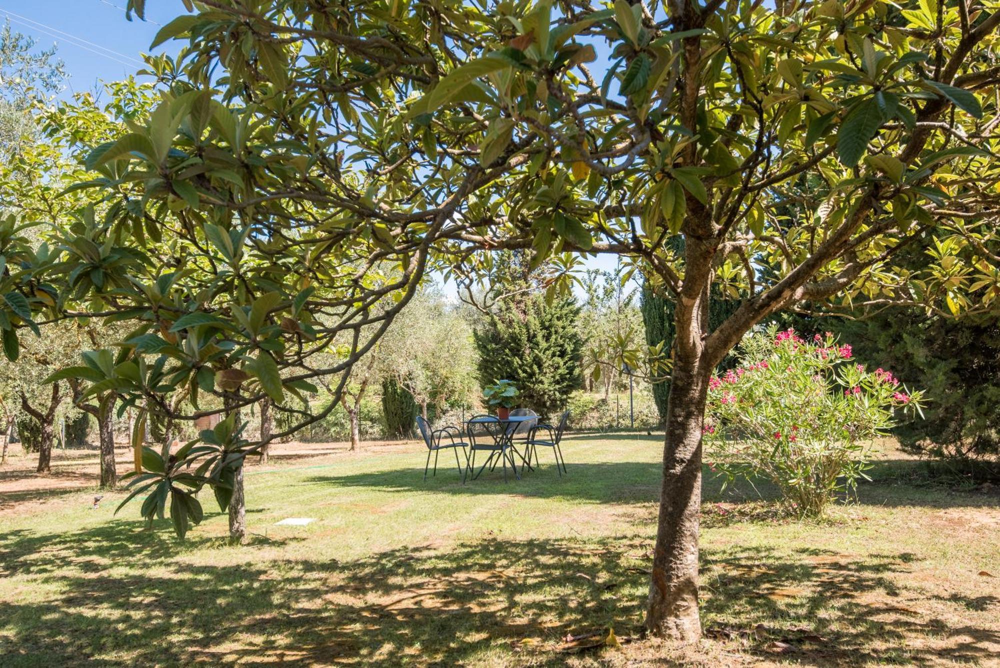 Podere San Lorenzo Sienne Extérieur photo